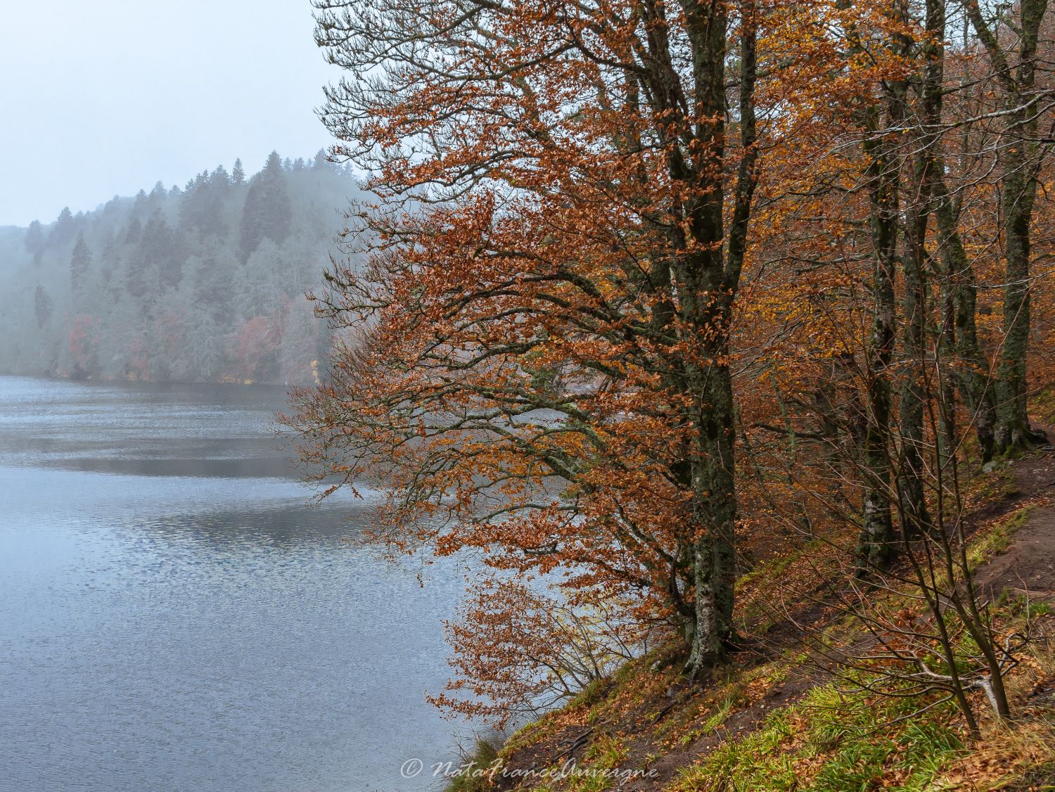 Lac Pavin nov 2023 by @NataFranceAuvergne-8851 (5)